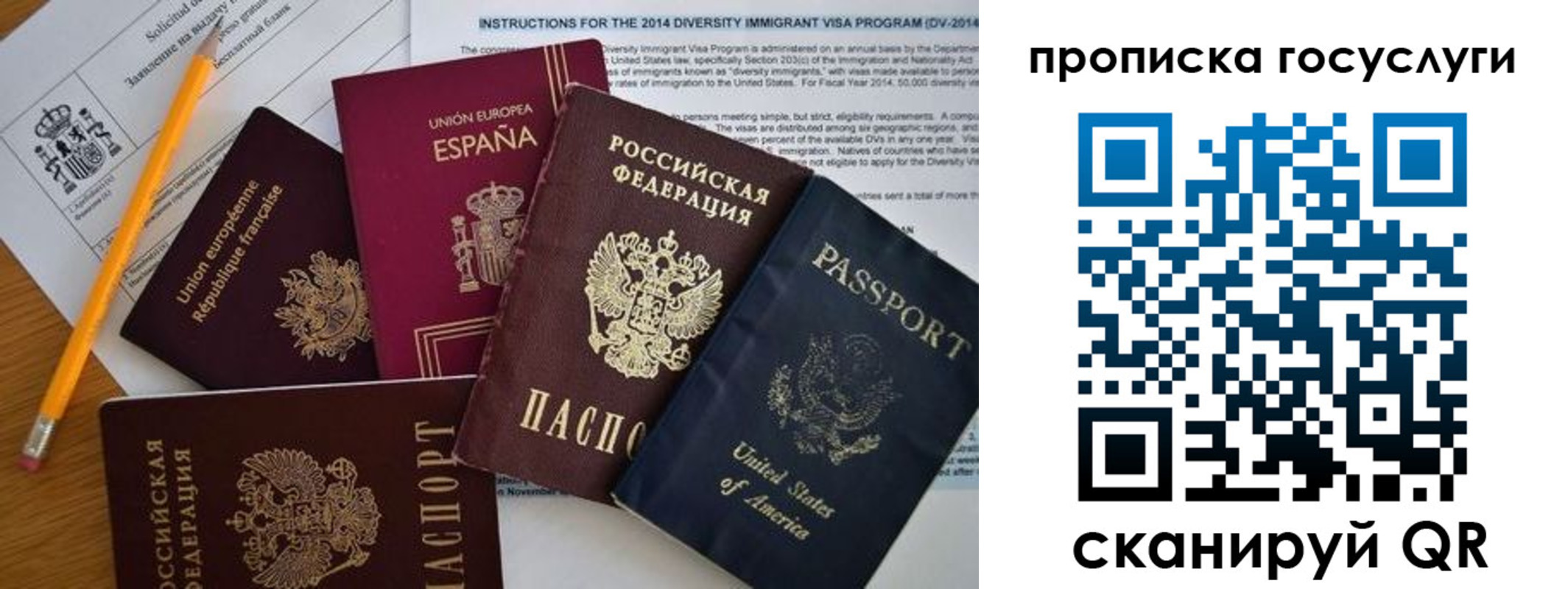 прописка гарантия в Киселёвске